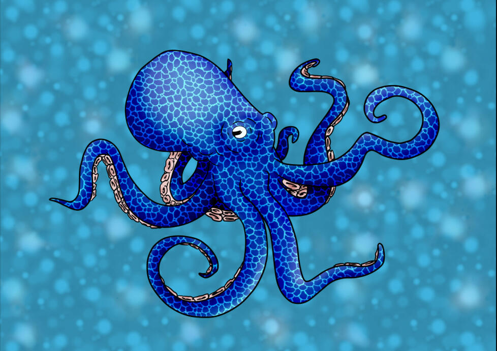 Octopus